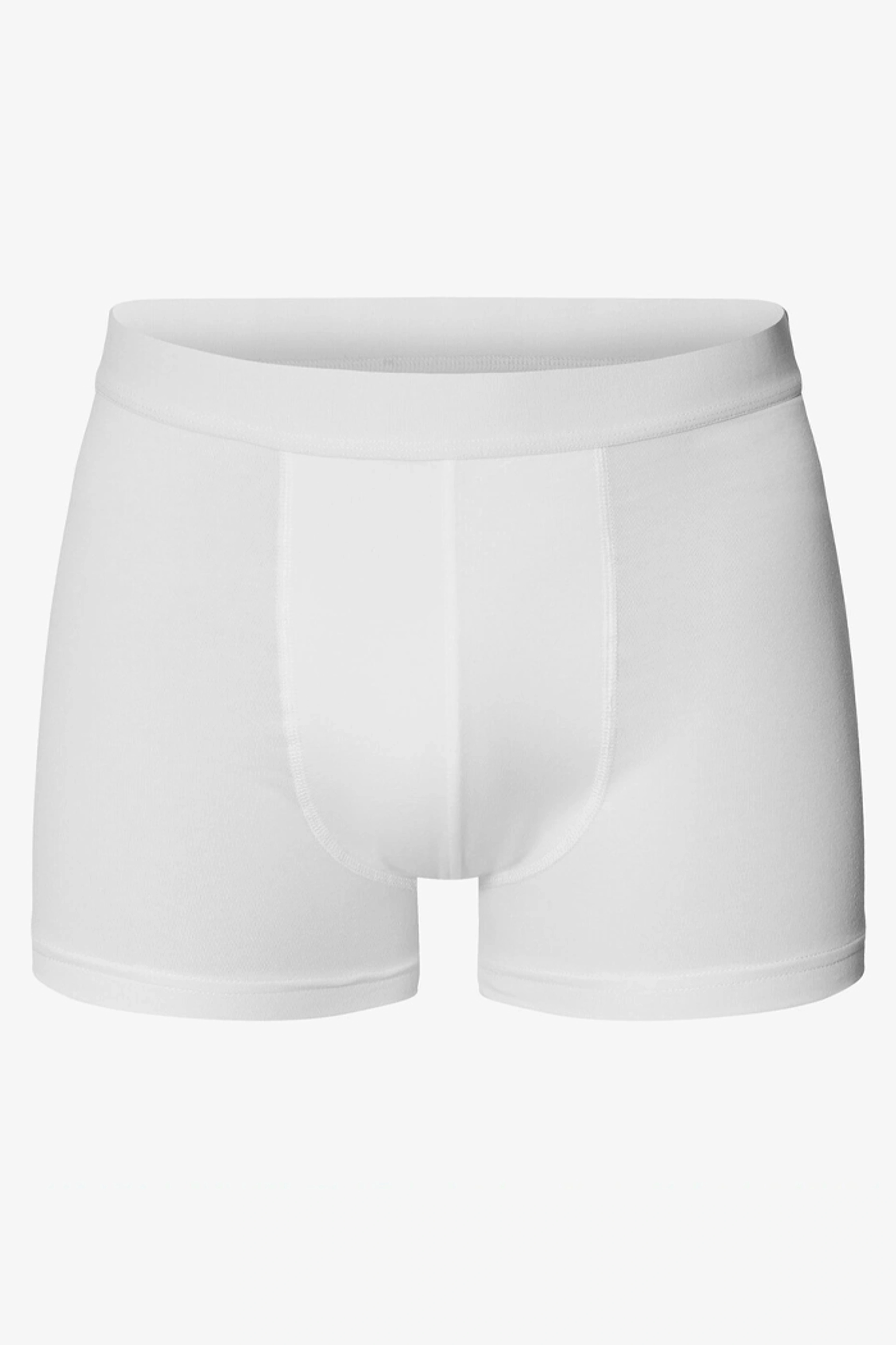 2-Pack Boxer Brief modal