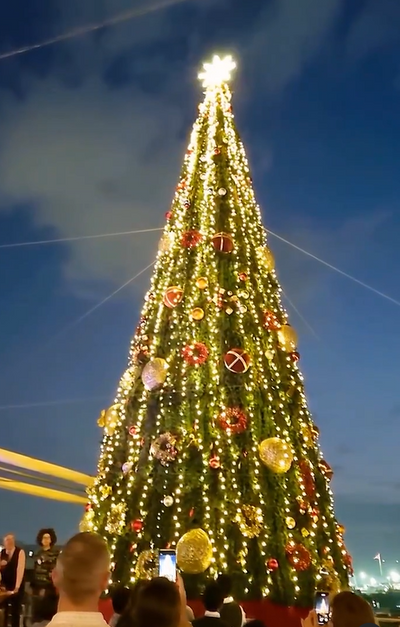 QE2 christams tree.png