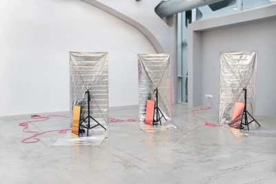 Elisa Giardina Papa, Cleaning Emotional Data, 2020. Installation view, Algotaylorism, Kunsthalle Mulhouse, France, 2020.