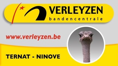 BVBA Bandencentrale Verleyzen