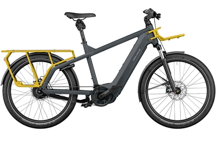 Riese und Müller | Multicharger GT vario 750