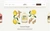 Screenshot from the Chobani Foodservice Desktop detail product page. It showcases Lemon Ginger product as an example