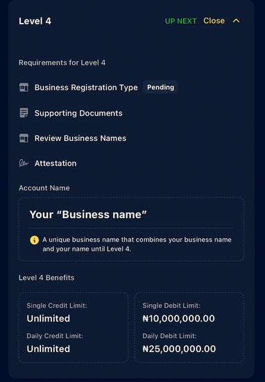 Moniepoint Business Banking KYC 4.png