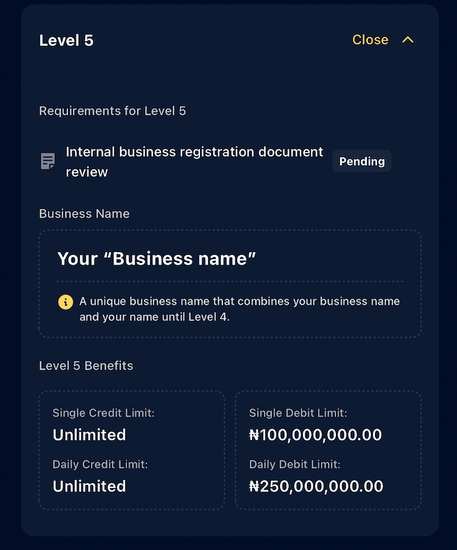 Moniepoint Business Banking KYC 5.png