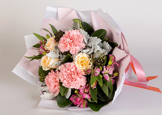 Mother's Day Flower - Carnations