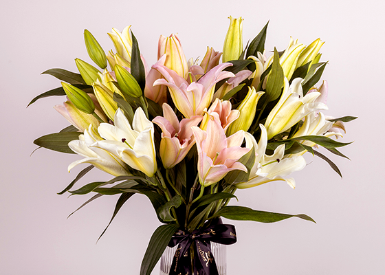 Mother's Day Flower - Lilies