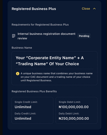 Moniepoint Business Banking KYC 5.png