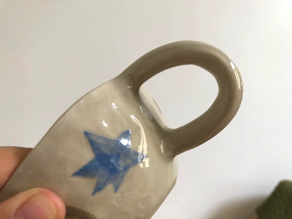 Tasse étoile et plante