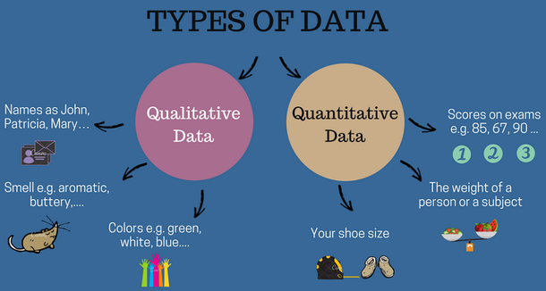 qualitative-and-quantitative-data-a-short-infographic.png