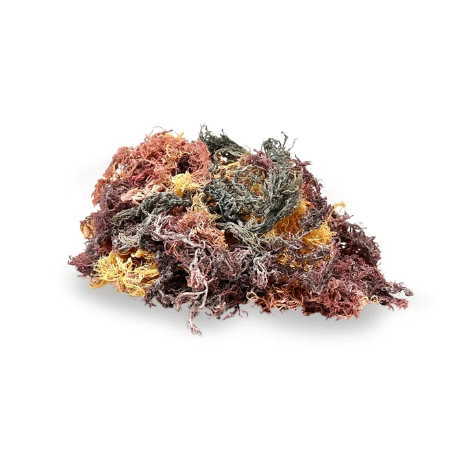 Full spectrum sea moss