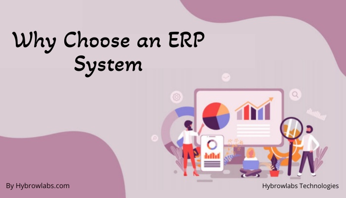 Why Choose an ERP System