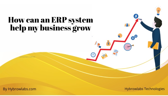 How can an ERP system help my business grow