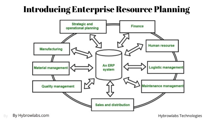 Introducing Enterprise Resource Planning 