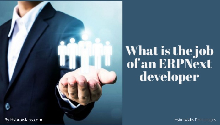 What is the job of an ERPNext developer