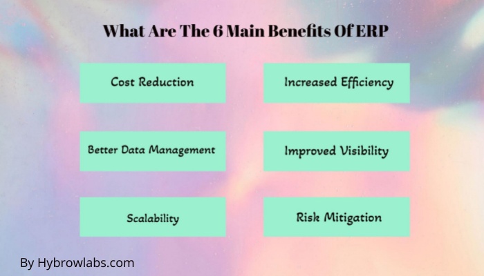 What Are The 6 Main Benefits Of ERP