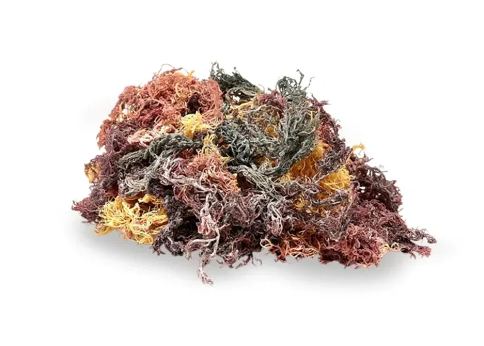 Raw full spectrum sea moss