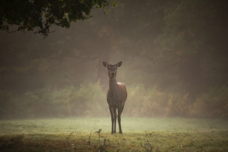 diana-parkhouse-GDxFfJ5LShM-unsplash.jpg