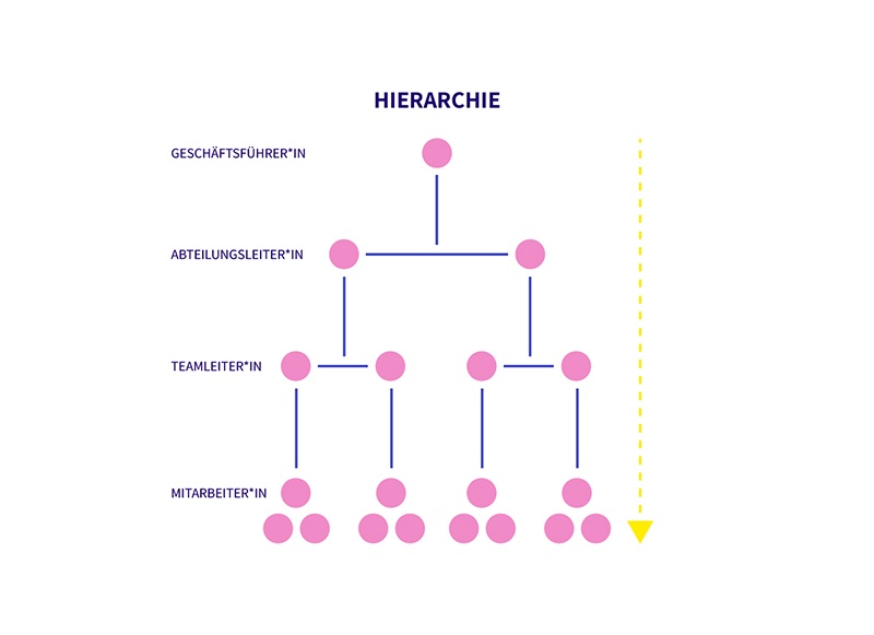Hierarchie grafisch dargestellt mit einzelnen Ebenen und Rollen untereinander
