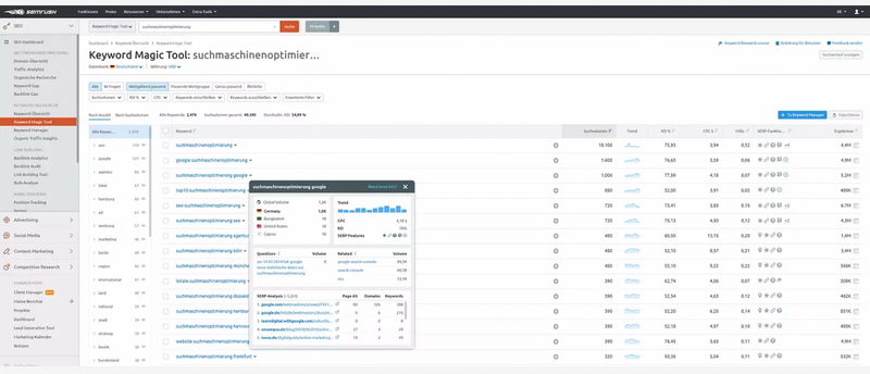 Übersicht Semrush