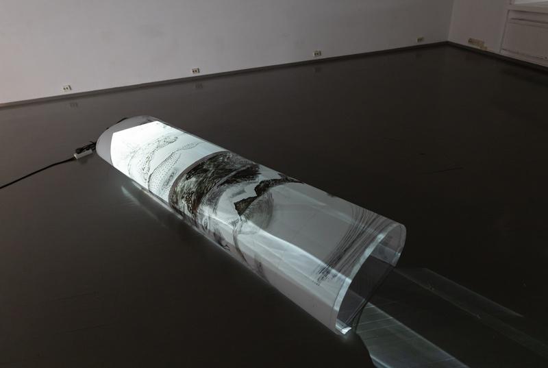 Saija Vihervuori, RETRACE/MENTAL EVOLUTION, 2021, drawing installation