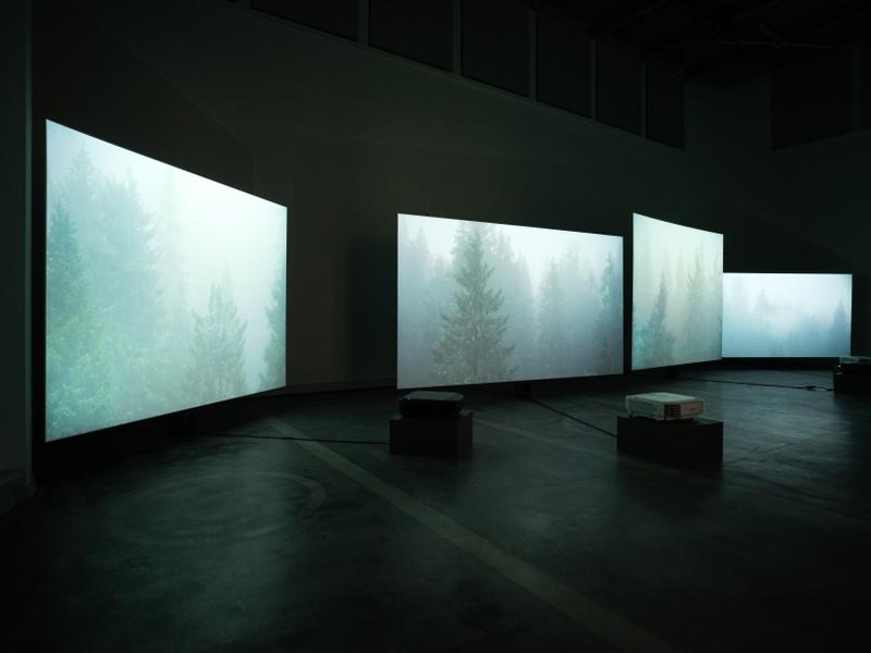 Maija Blåfield, *Scenic View*, 2023,  Kunsthalle Helsinki