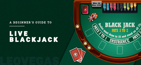 How to Play Blackjack Online: A Beginner’s Guide | LeoVegas Casino