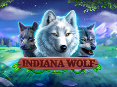 Indiana Wolf
