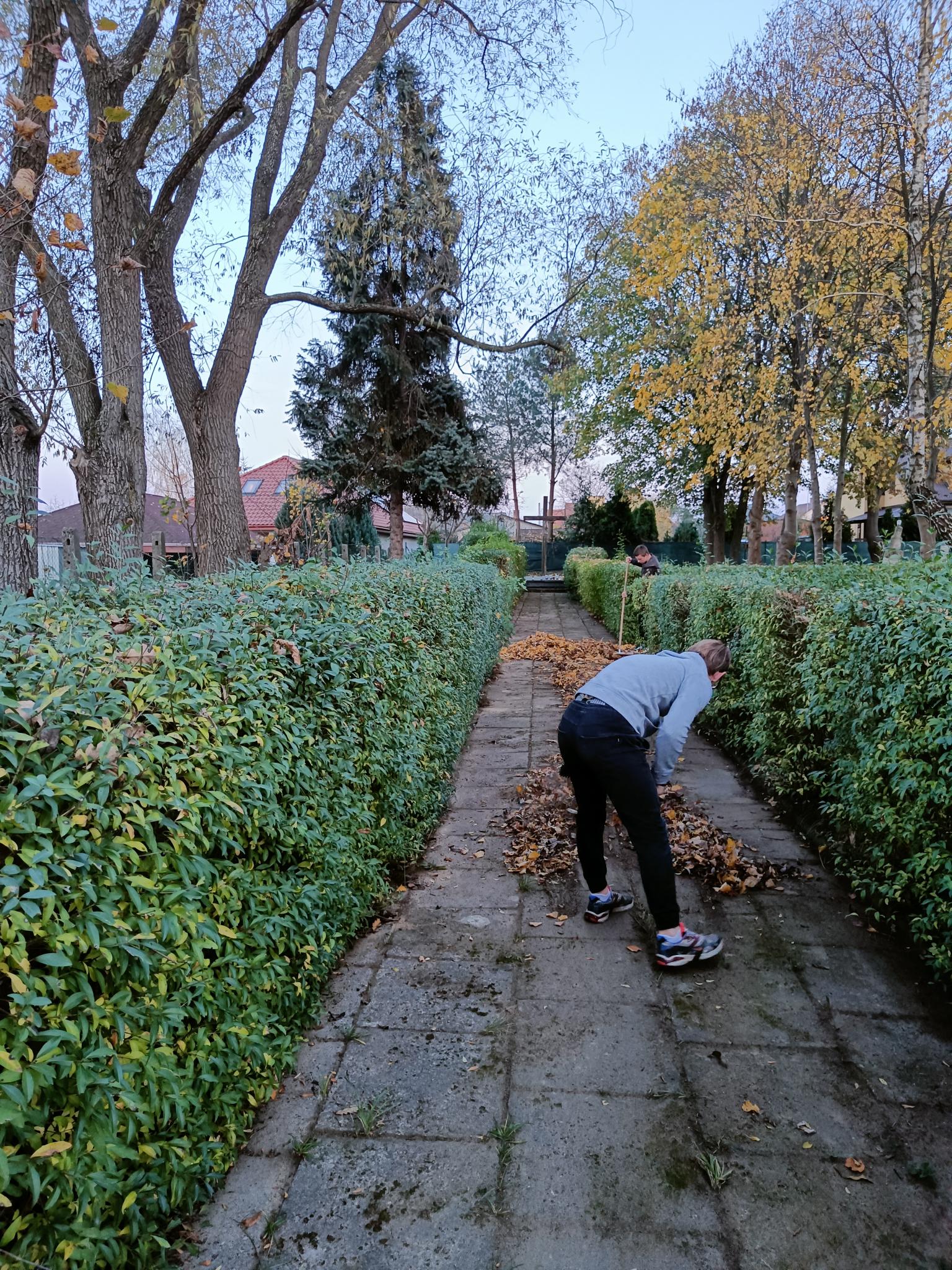 Pamiętamy... | Wyłożona płytami alejka, na której odwrócony tyłem wychowanek MOW pochyla się nad zamiatanymi liśćmi. Po bokach alejki szpaler żywopłotu, za nim po obu stronach widoczne wysokie drzewa częściowo bez liści..jpg