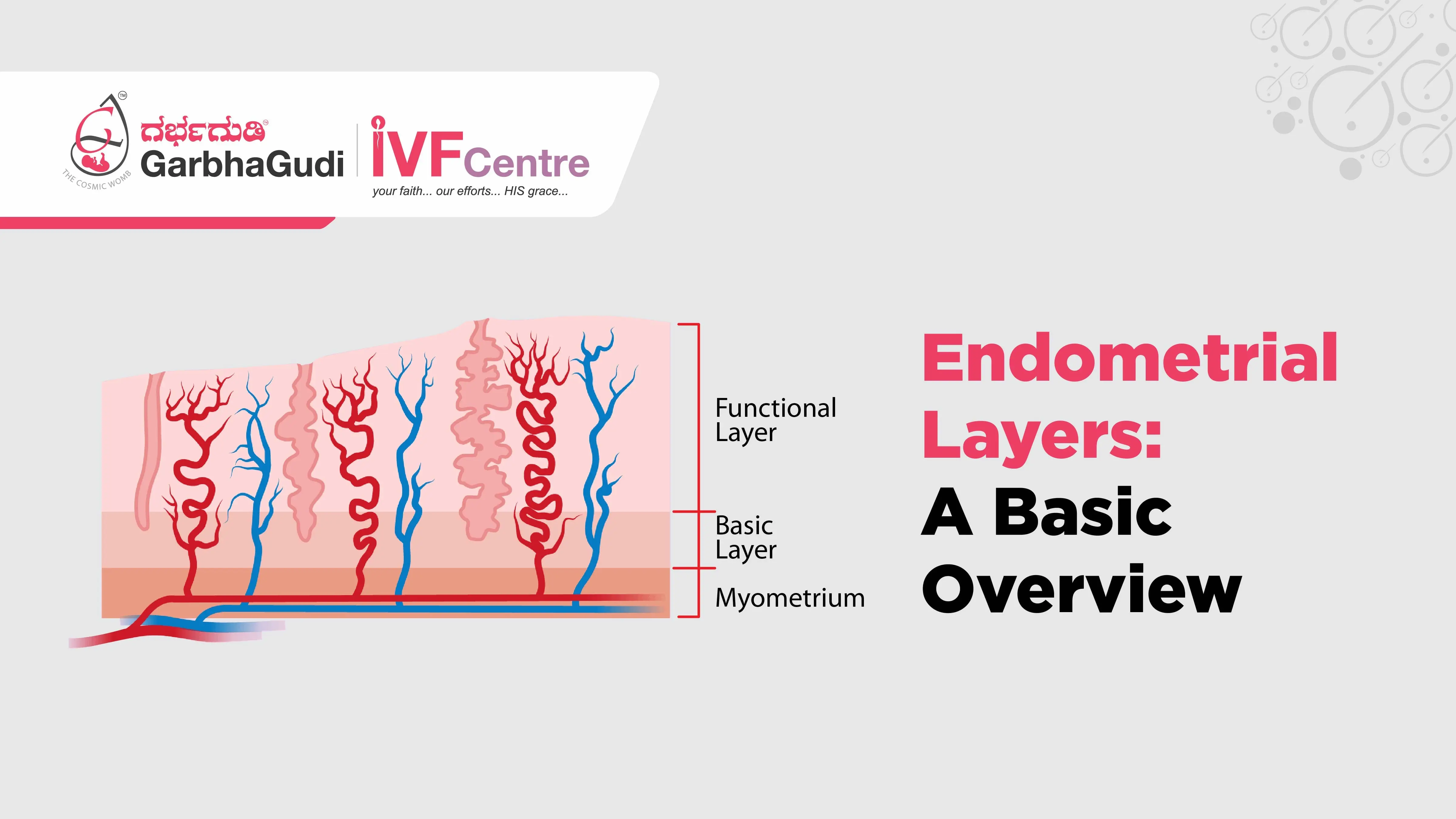 Endometrial Layers - A Basic Overview