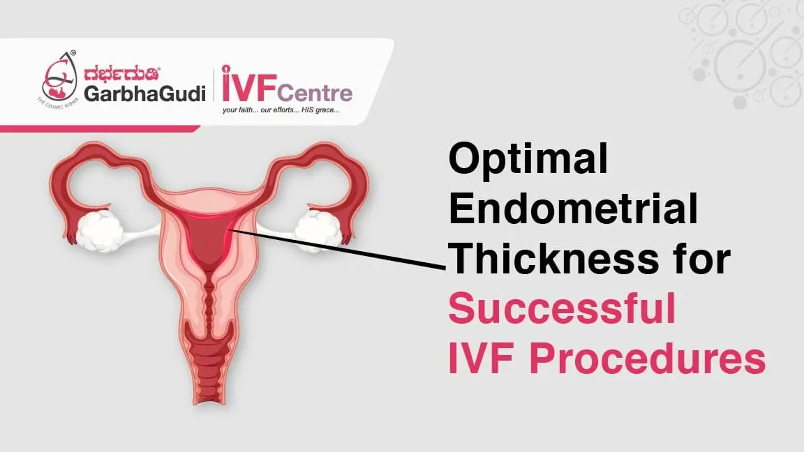 Optimal Endometrial Thickness for Successful IVF Procedures