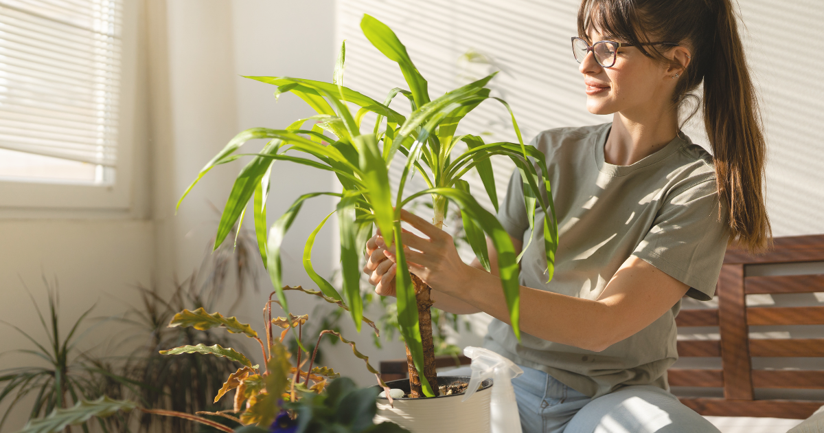 Stress Reduction Through Indoor Plants.png