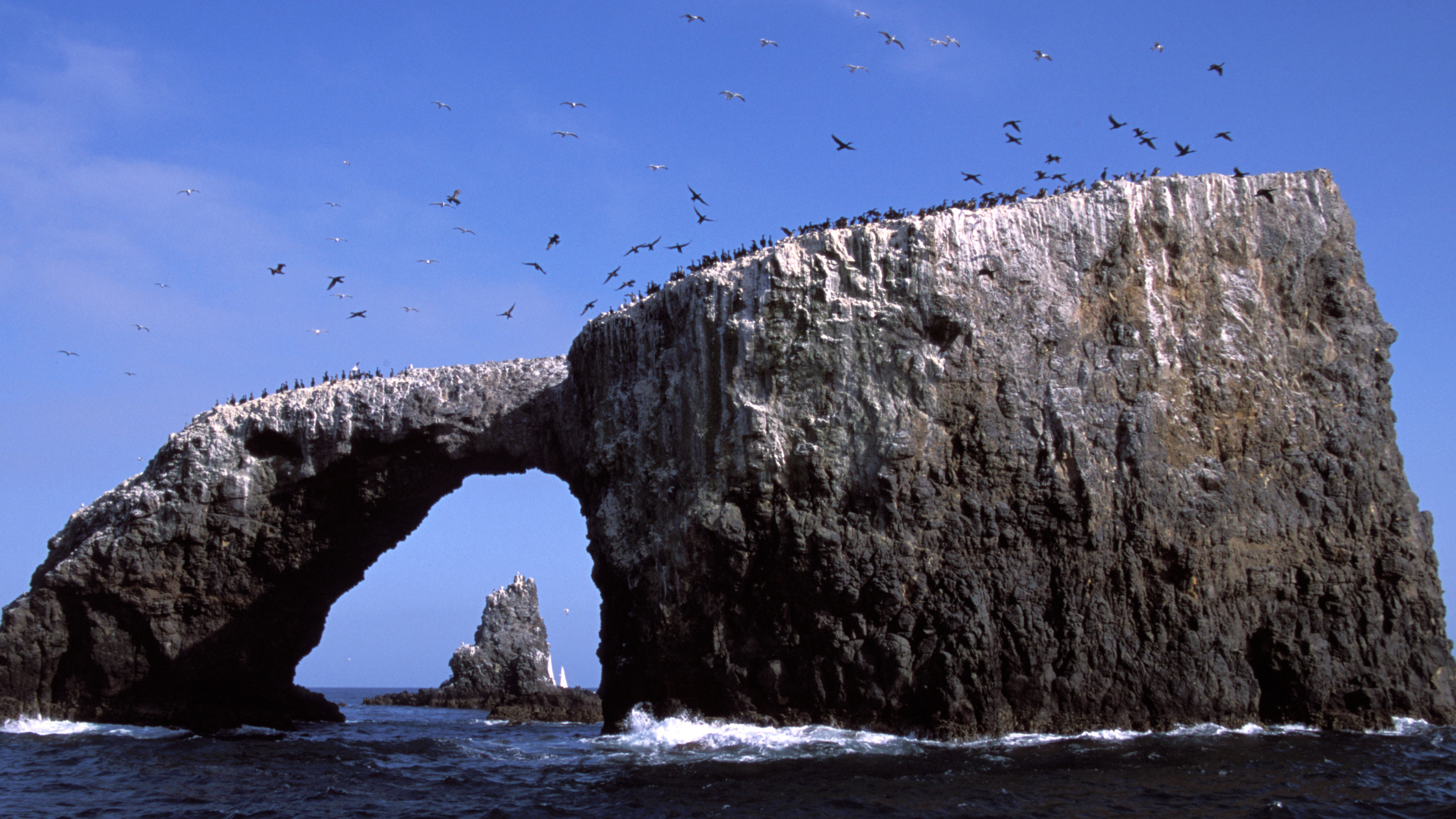 Visiting Channel Islands National Park