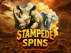 Stampede Spins