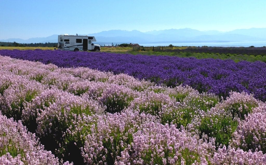 With Harvest Hosts, members can park their RV in a field of lavender for free!