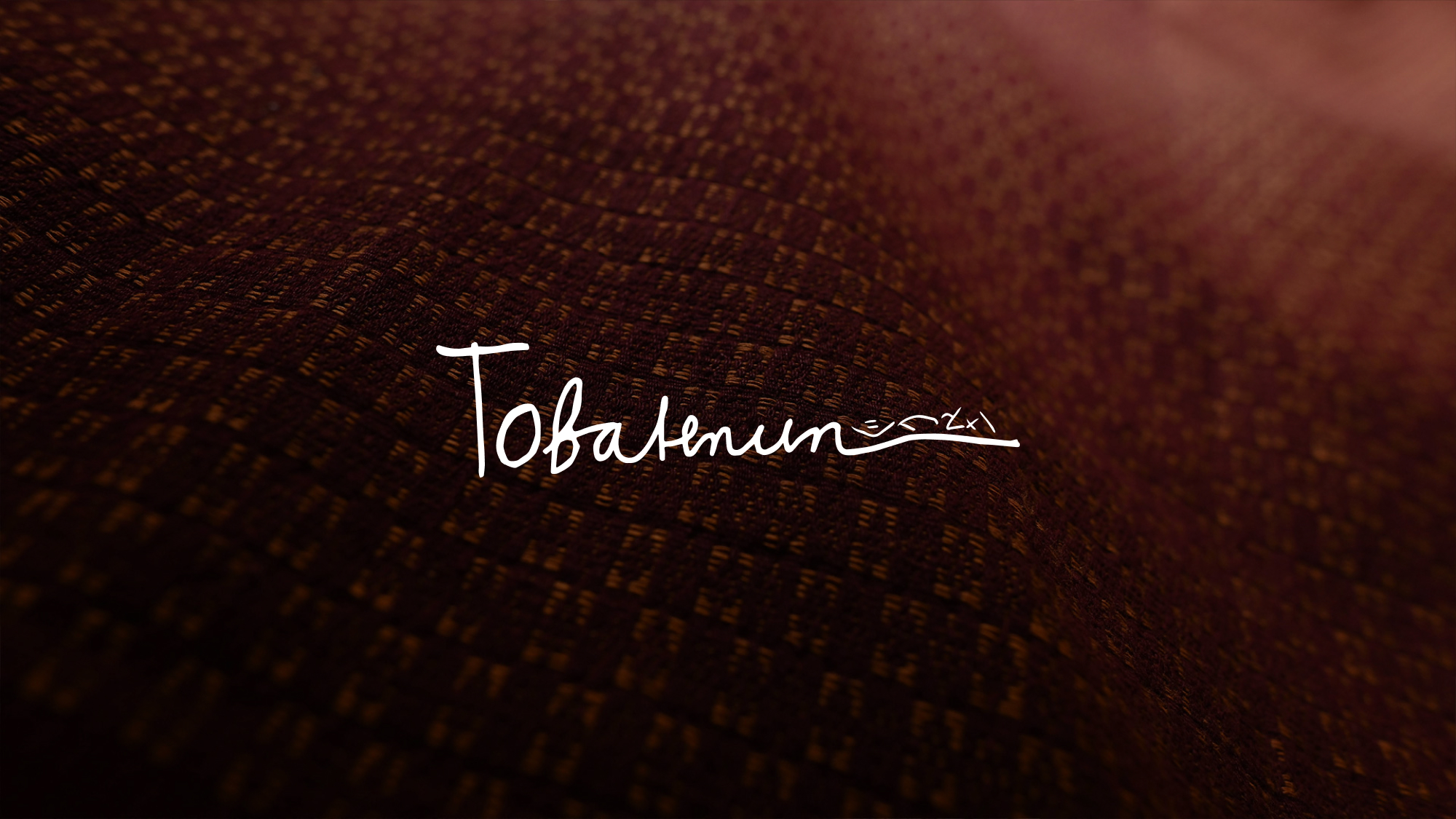 02-intro-logo.jpg