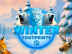 Winter Footprints
