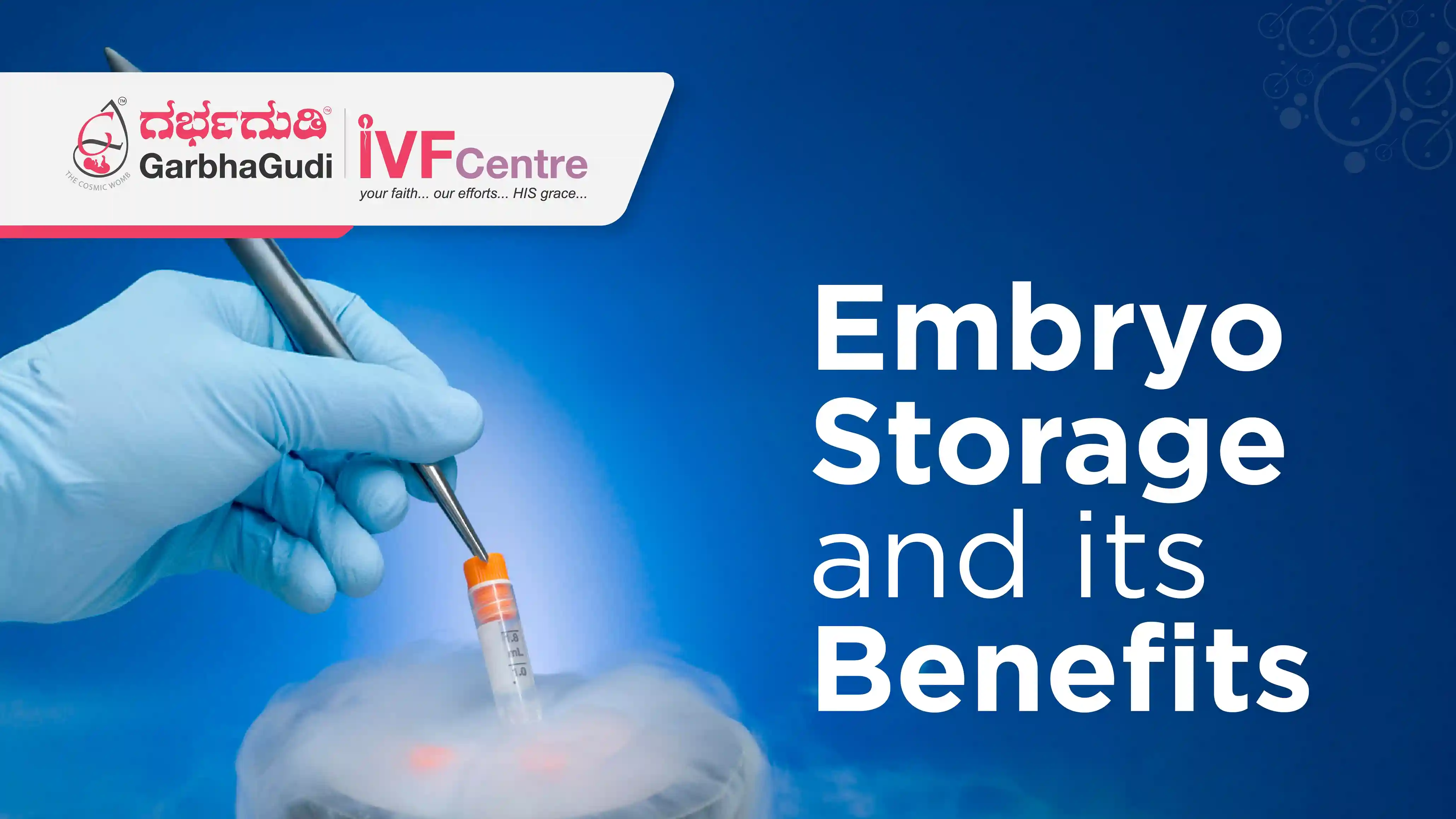 Exploring Embryo Storage and Its Benefits