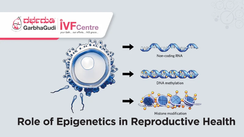 The Role of Epigenetics in Reproductive Health