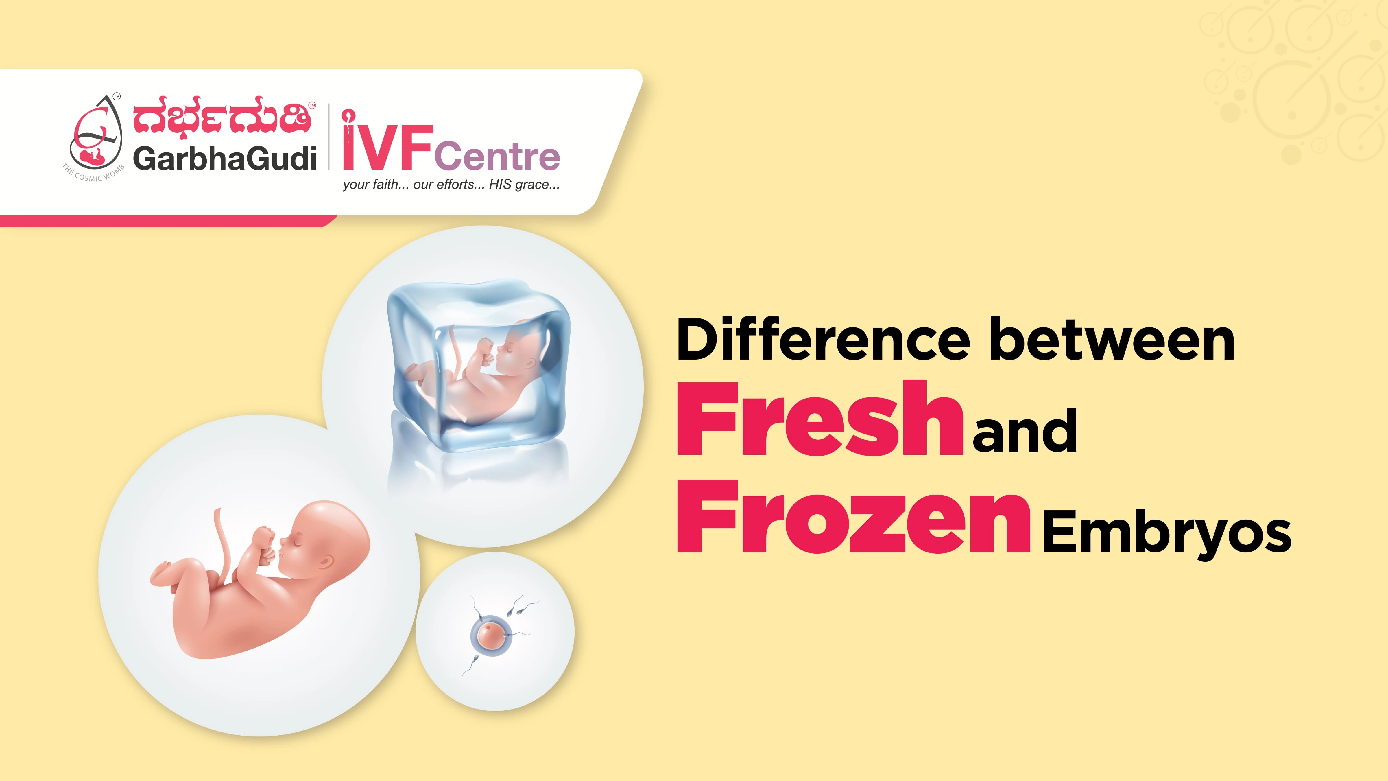 Fresh vs. Frozen Embryo Transfer: What’s the Difference?