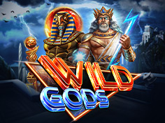 Wild Gods
