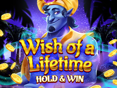 Wish Of A Lifetime Hold And Win