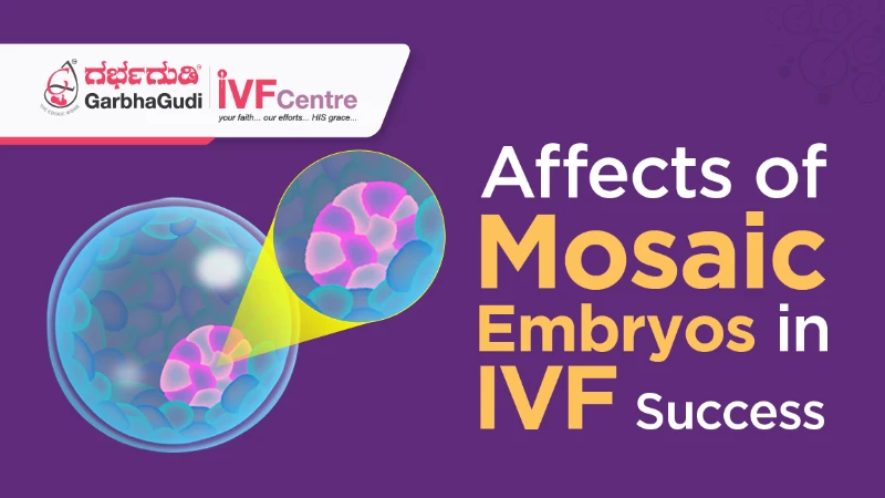 What Are Mosaic Embryos, and How Do They Affect IVF Success?