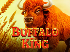 Buffalo King
