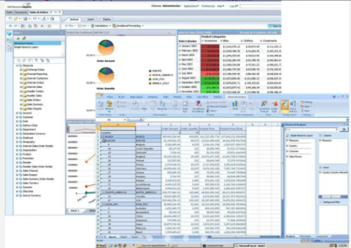 SAP BusinessObjects BI Screenshot