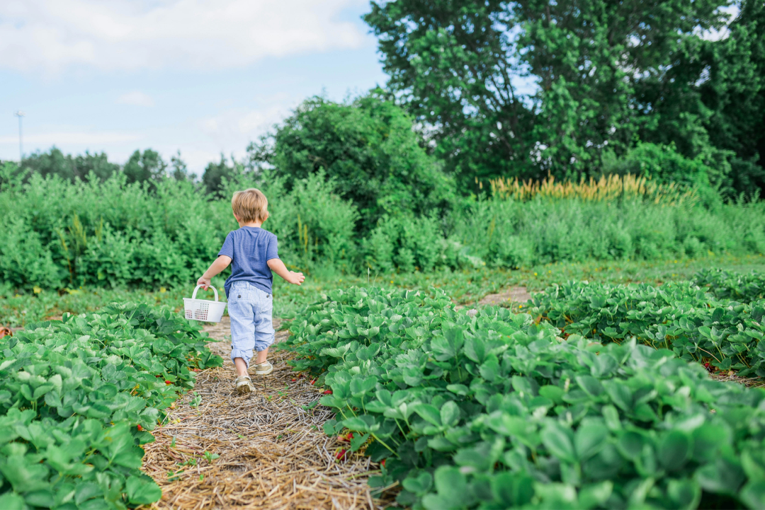 Sensory Farm