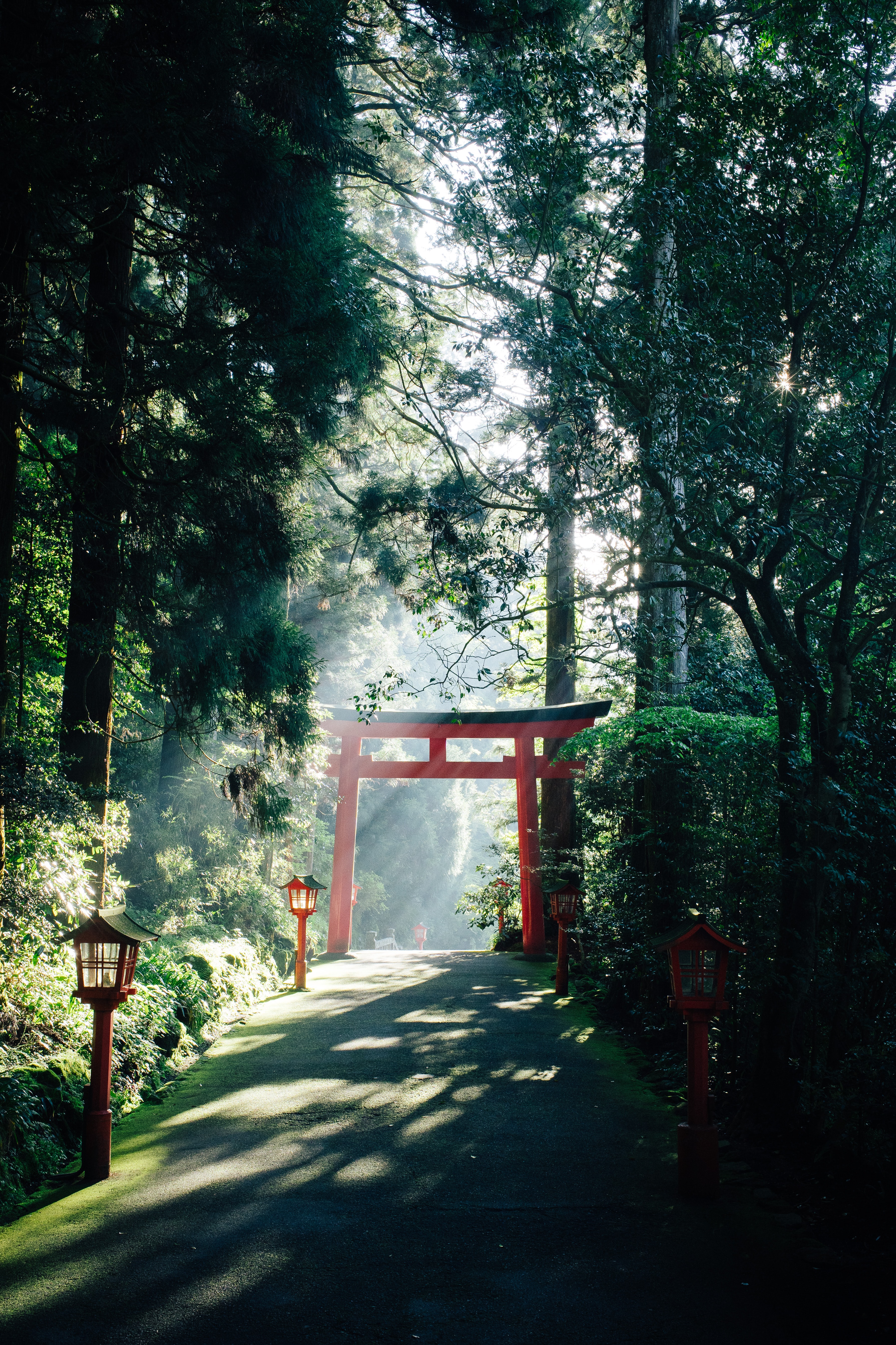 The Shrines and Temples of Japan