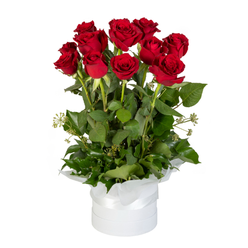 red roses in white pot.jfif
