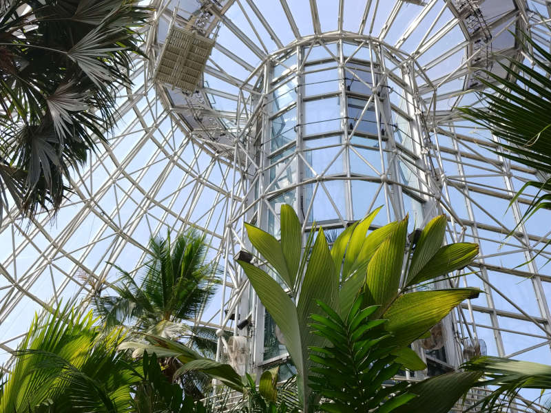 Interior of the Lucile Halsell Conservatory complex, which includes five exhibit rooms featuring exotic plants from around the world.