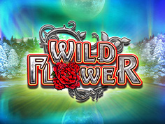 Wild Flower