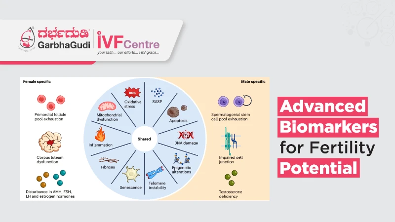 Exploring Advanced Biomarkers for Fertility Potential